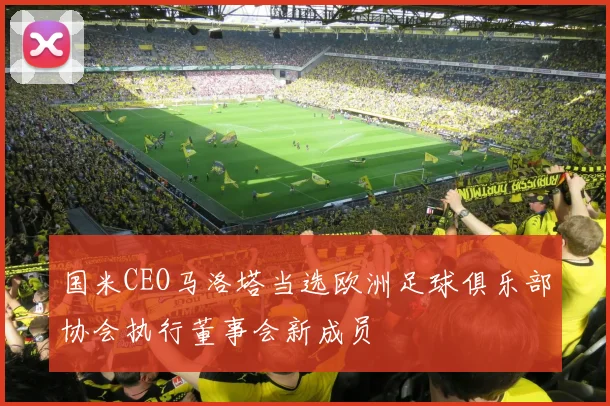 国米CEO马洛塔当选欧洲足球俱乐部协会执行董事会新成员