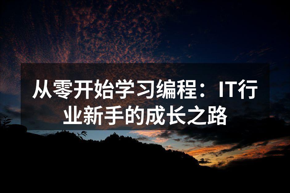 从零开始学习编程：IT行业新手的成长之路