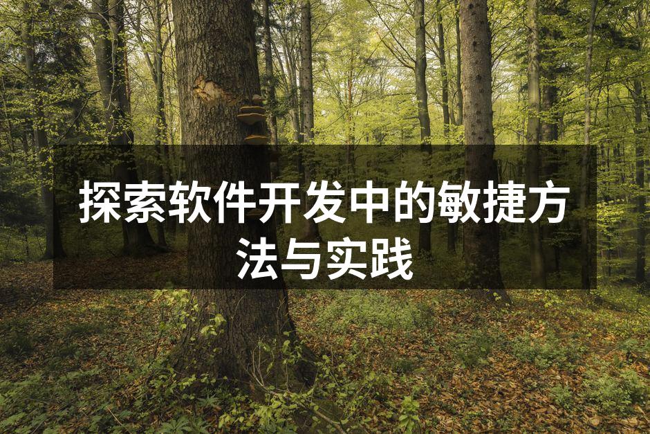 敏捷开发团队协作